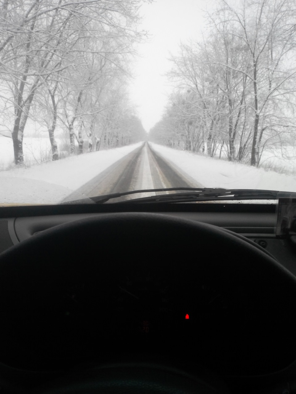 Весна?! Ні, не чув) 1