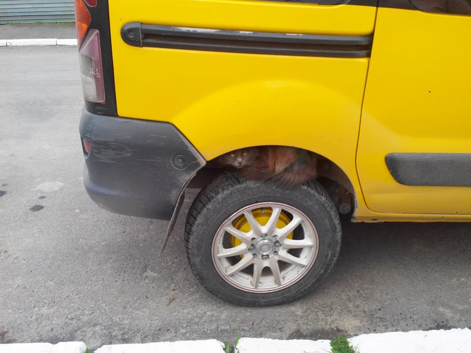 СПОЖИВАЧ