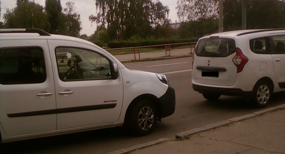 Kangoo and Lodgy . 3