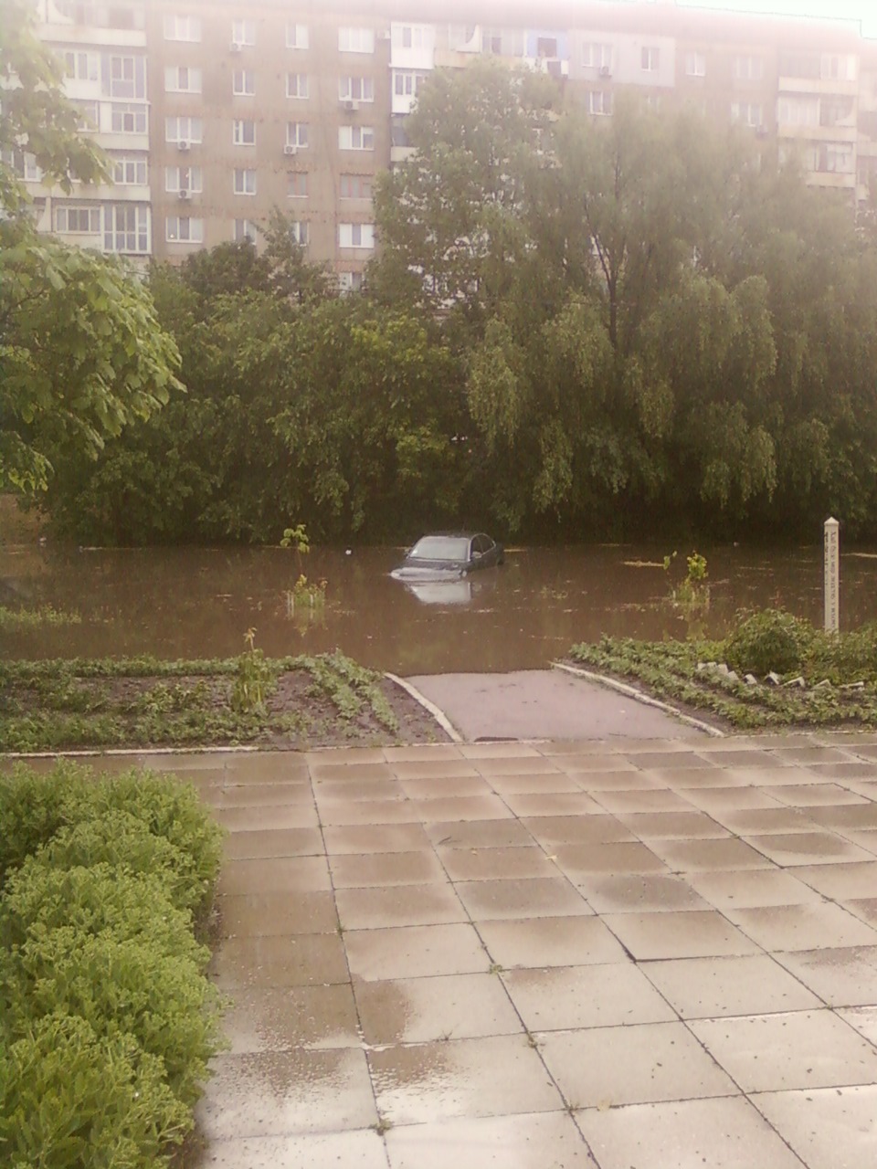 Півроку. 4