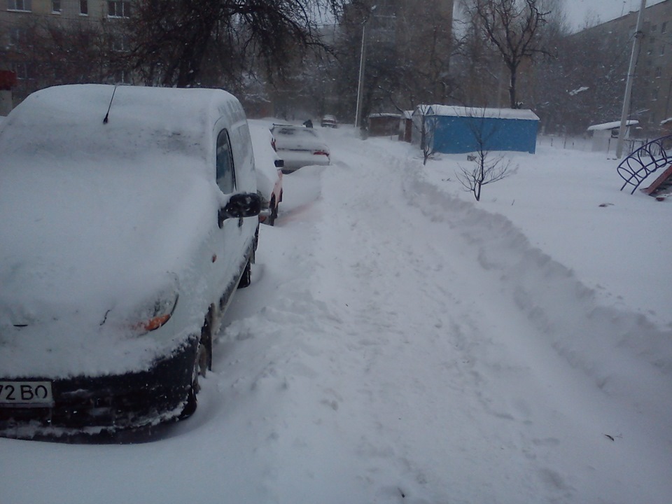 Виходжу вранці з дому...і що я бачу... 3