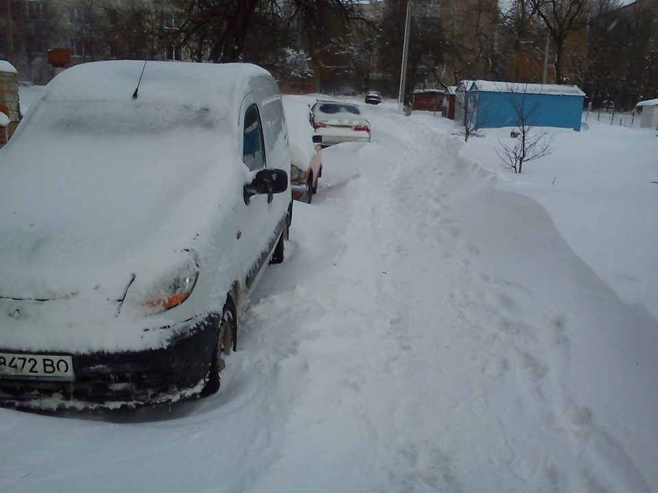 Виходжу вранці з дому...і що я бачу... 5