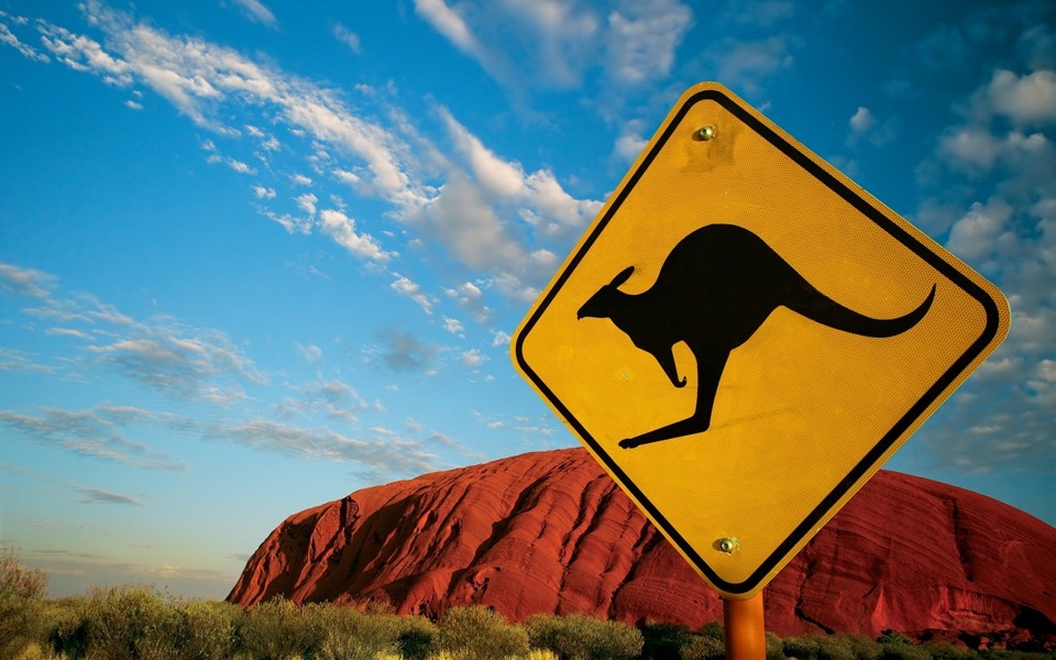 Фанські капці KangaRoos :) 1