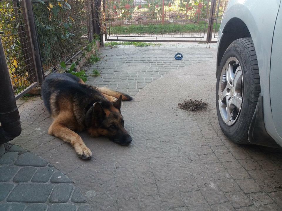 Підготовка до зими. 1