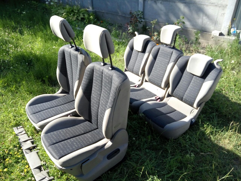 Салон Scenic 1