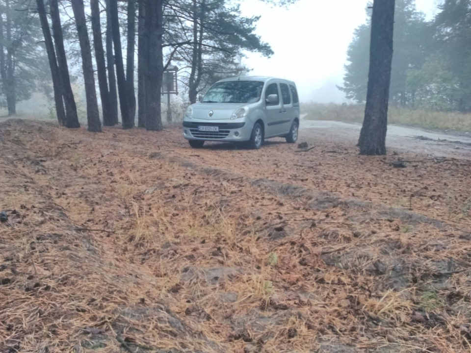 Зимовий прогрів 1