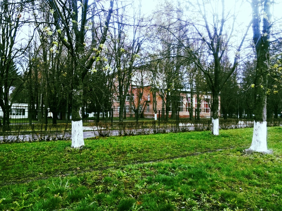 Майже таксі:) 1
