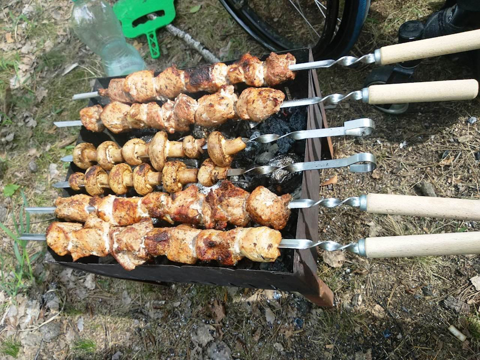Сезон відкритий 1