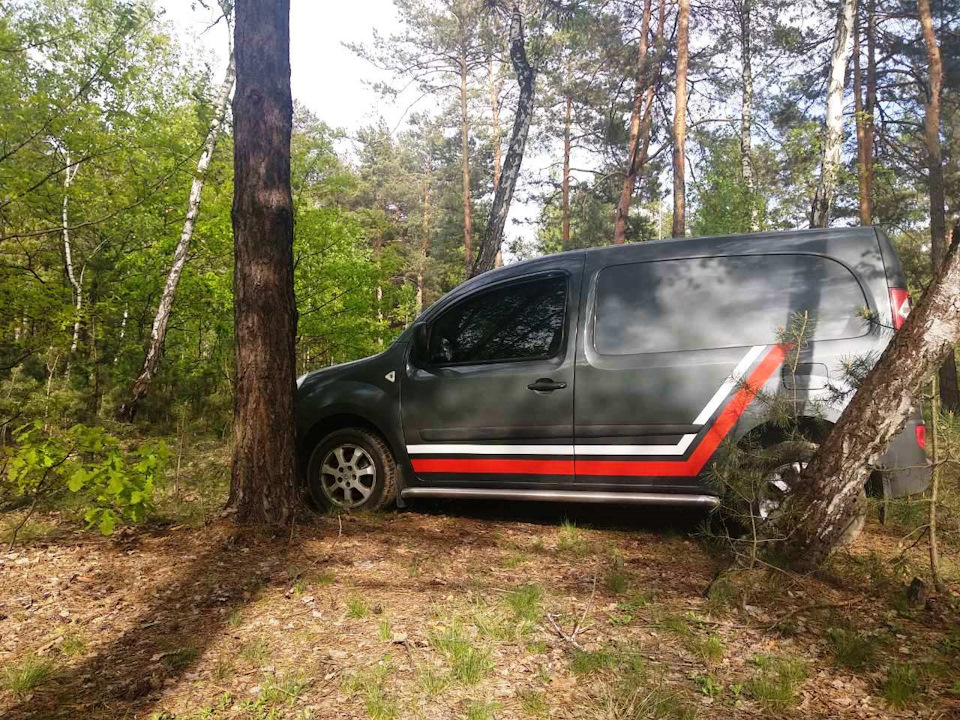 Сезон відкритий 4