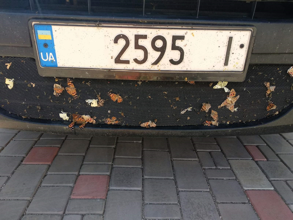 Зимова заглушка радіатора 1