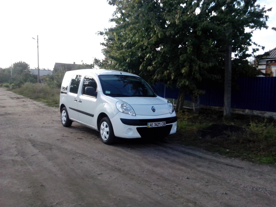 нова морда 4