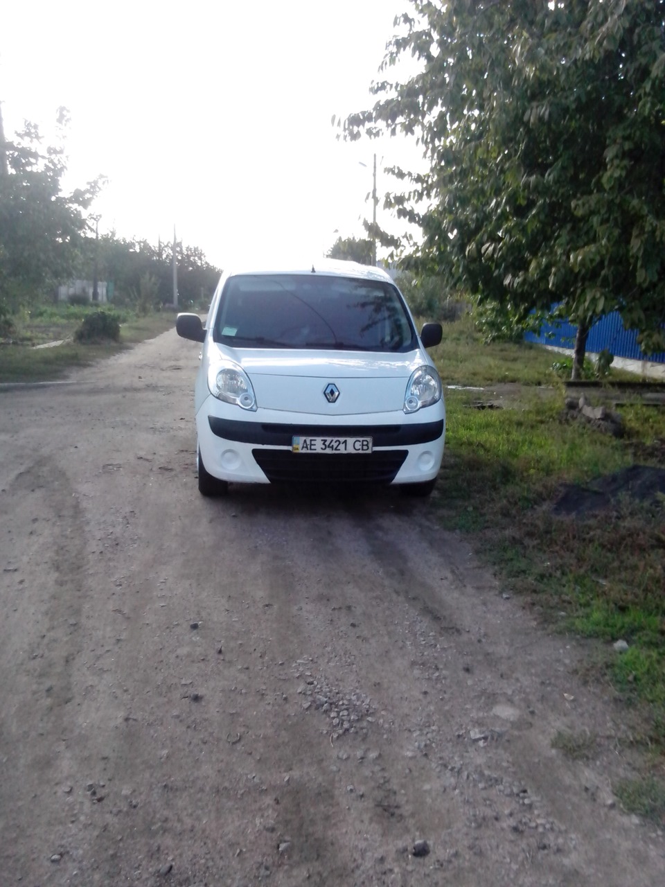 нова морда 2