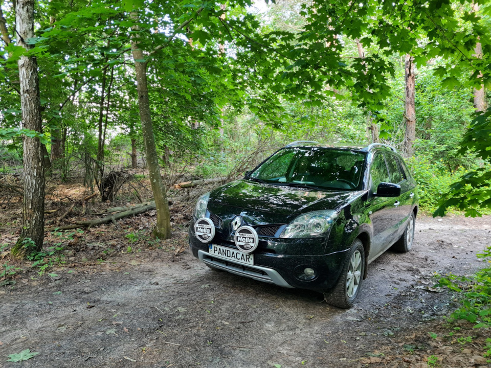 16. Чи купувати Koleos після Laguna / Megane? 1