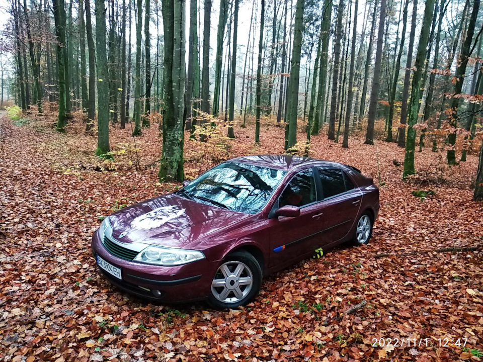 Лагуна 2 1.9dci 3