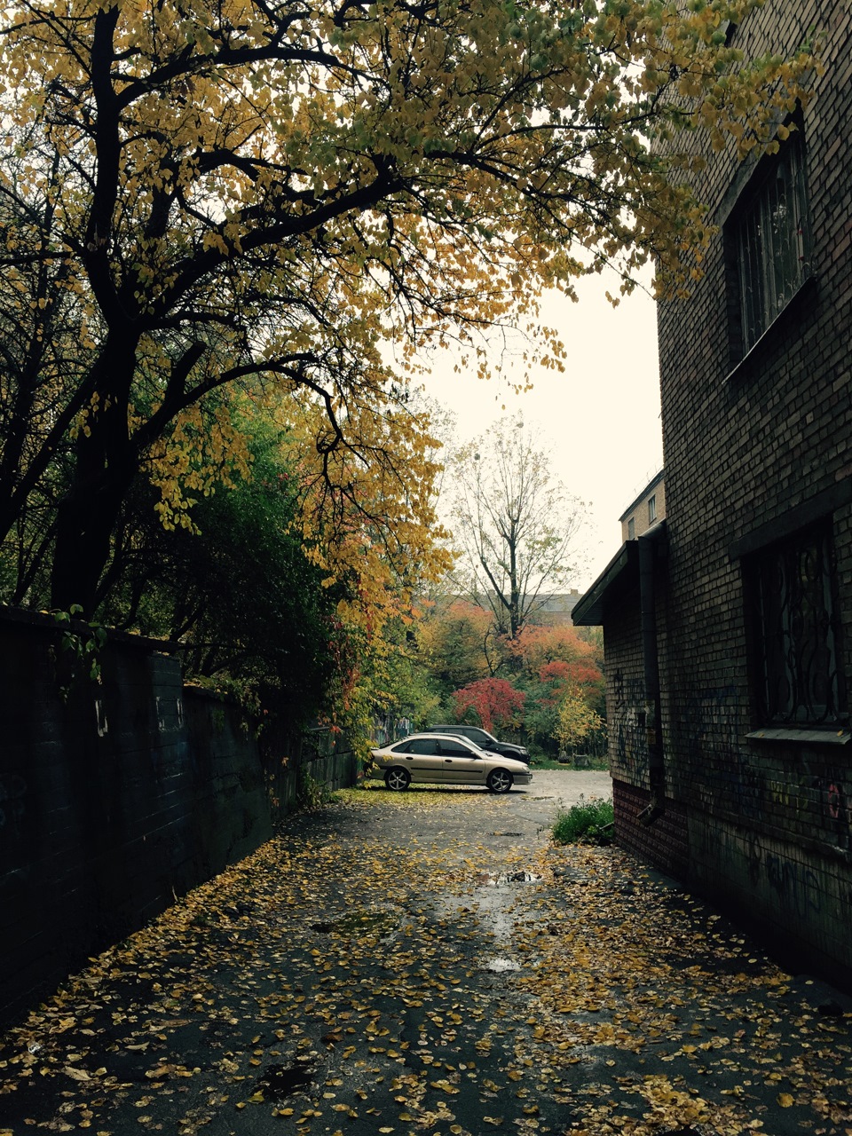 Осінь)) 2