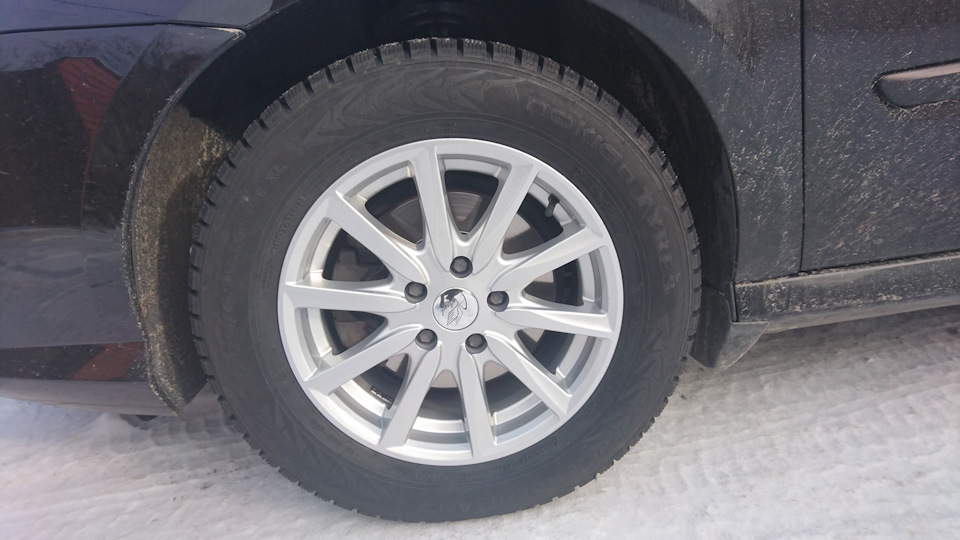 DISLA Raptor + Nokian Nordman 7 шип 3