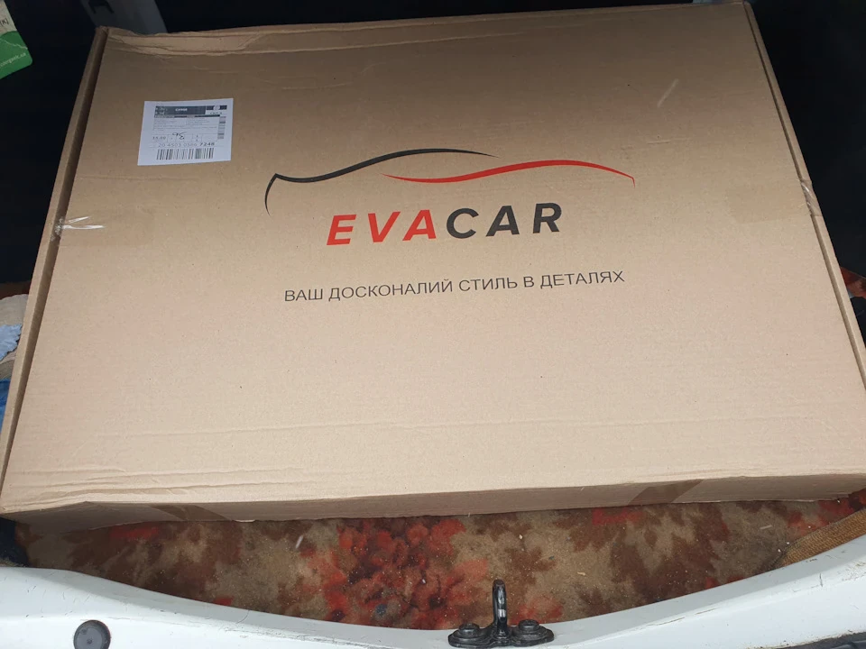 Всем EVA в салон!