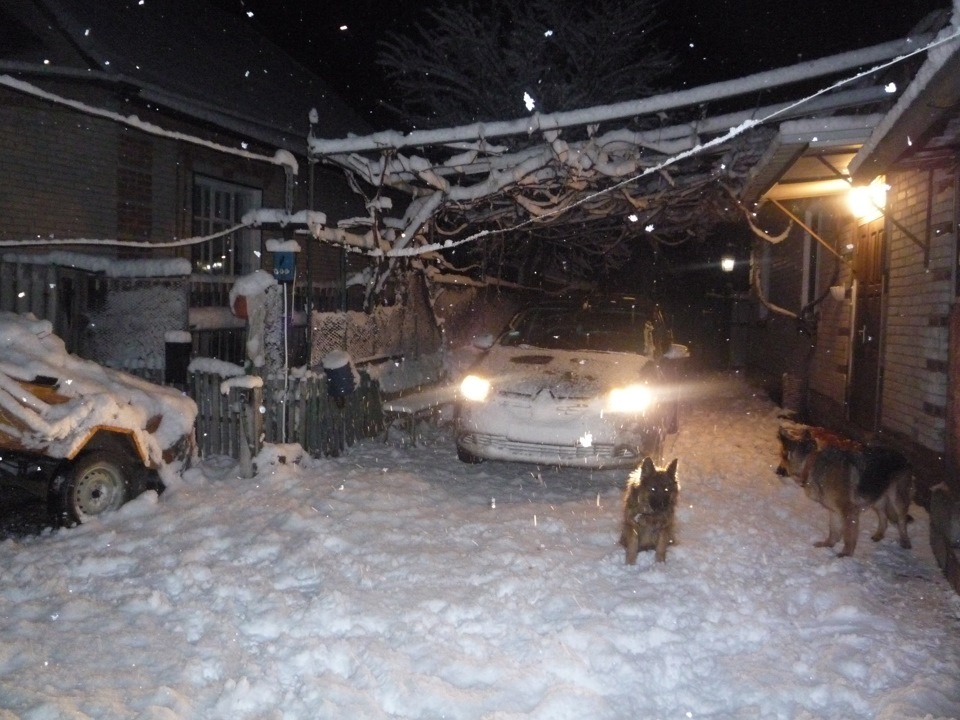 Зима! 4