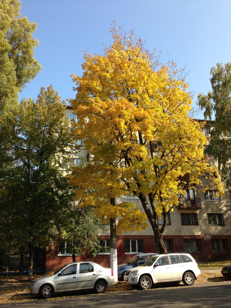 Місце для навігатора і трохи осені ;)) 2