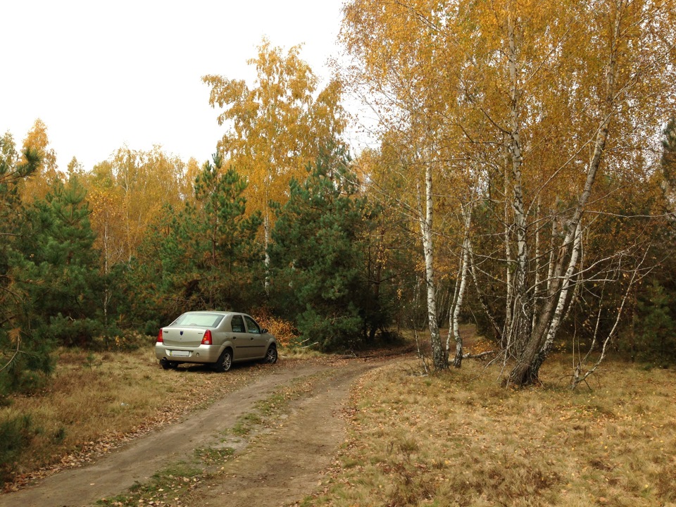 Осінні фотографії 4