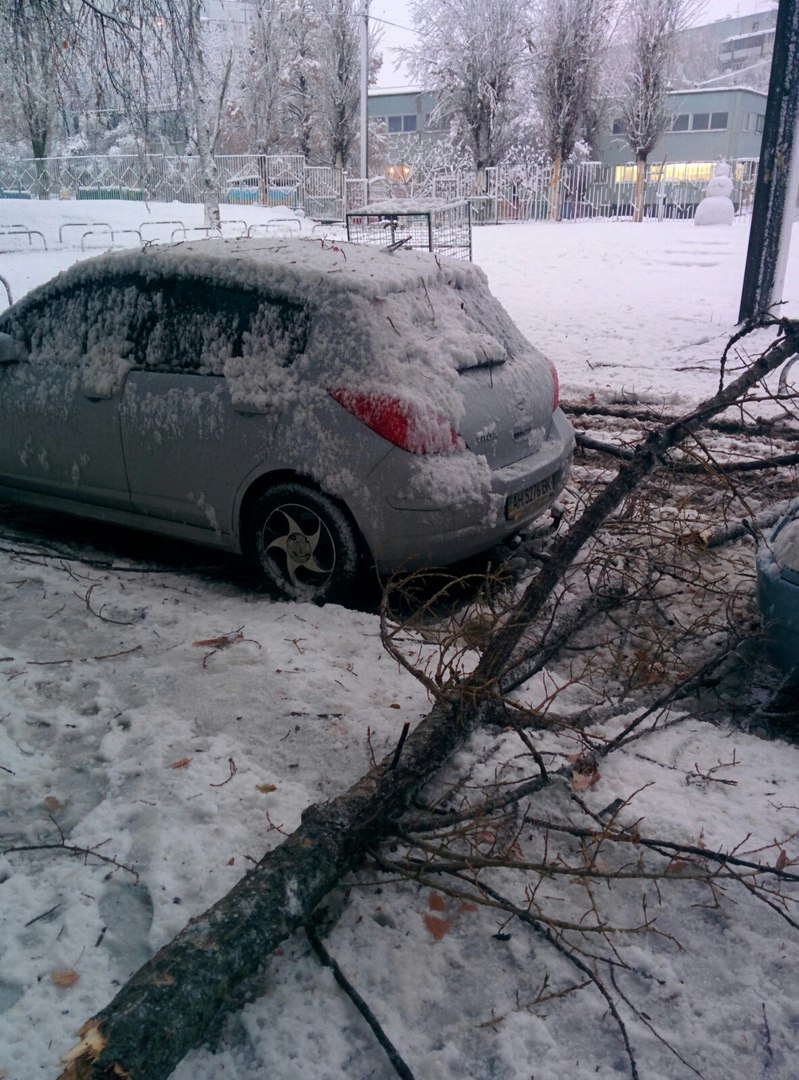 Капризи погоди у Харкові або не ставте авто під деревами 1