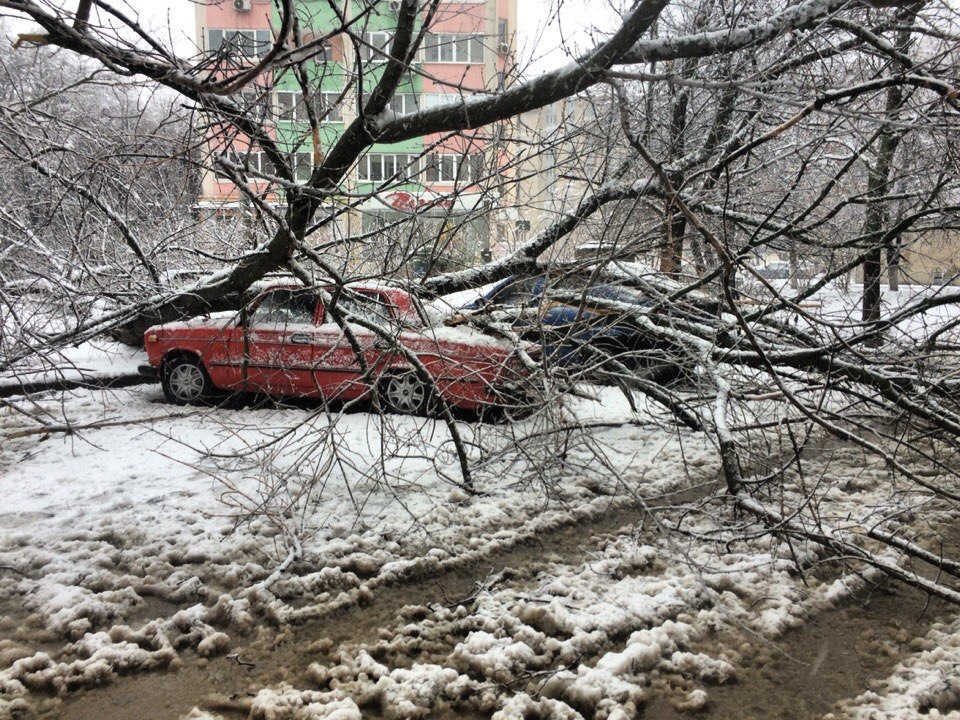 Капризи погоди у Харкові або не ставте авто під деревами 3