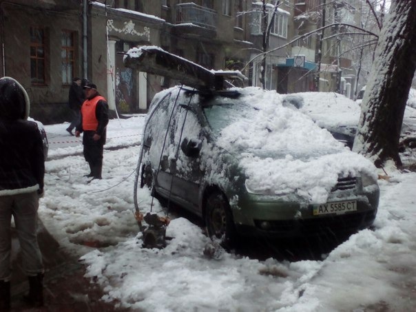 Капризи погоди у Харкові або не ставте авто під деревами 5