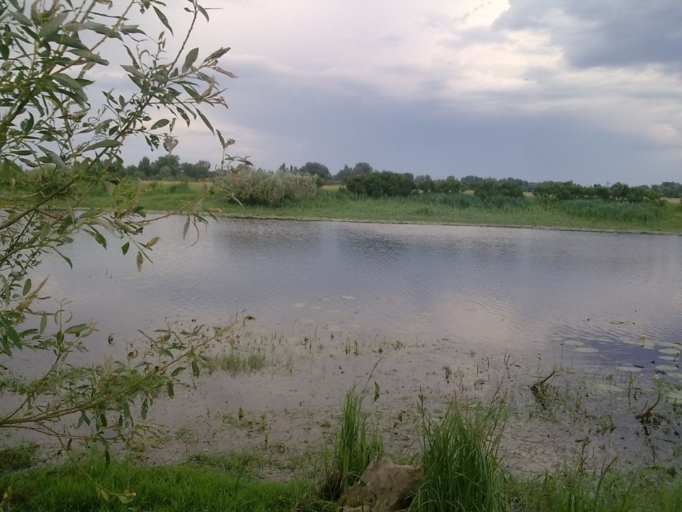 Поїздка на природу 5