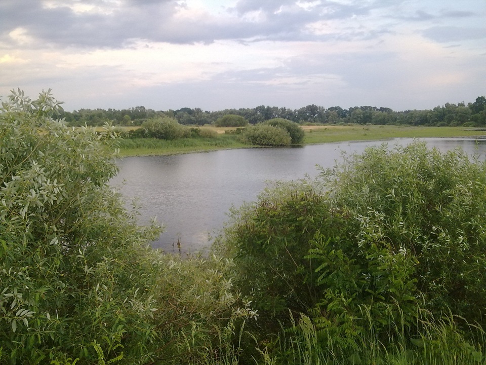 Поїздка на природу 2