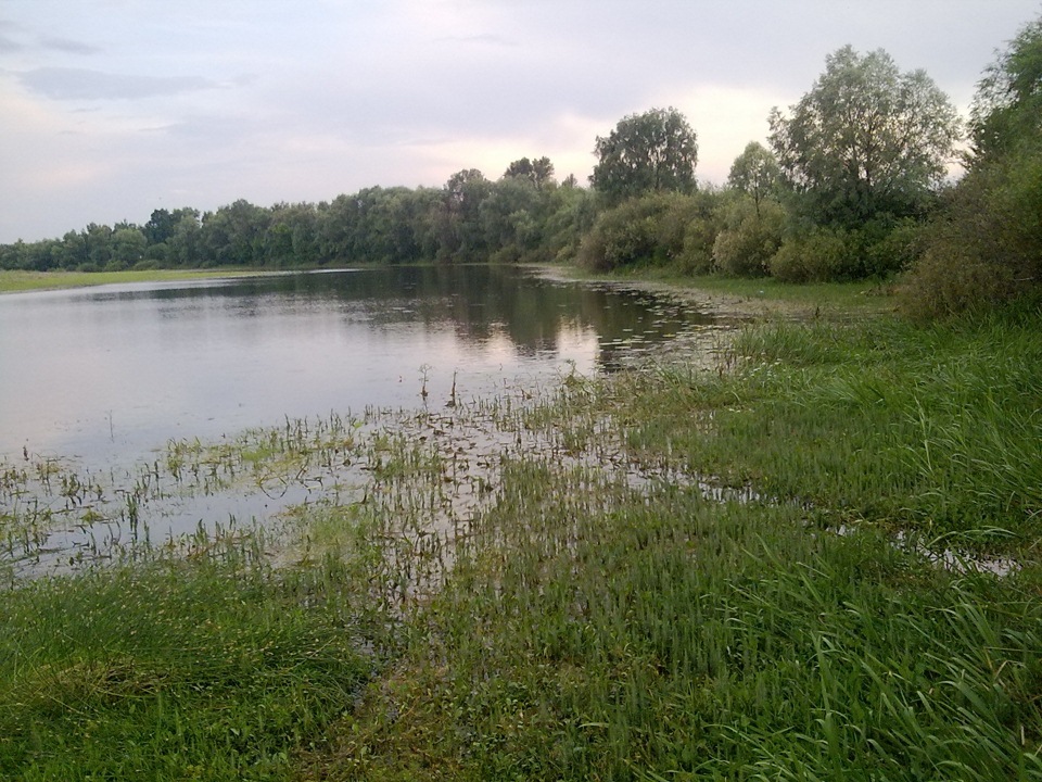 Поїздка на природу 4