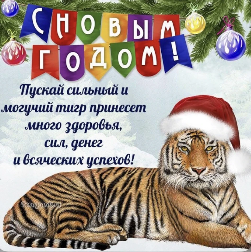 Всіх з наступаючим НОВИМ РОКОМ🎉🎄