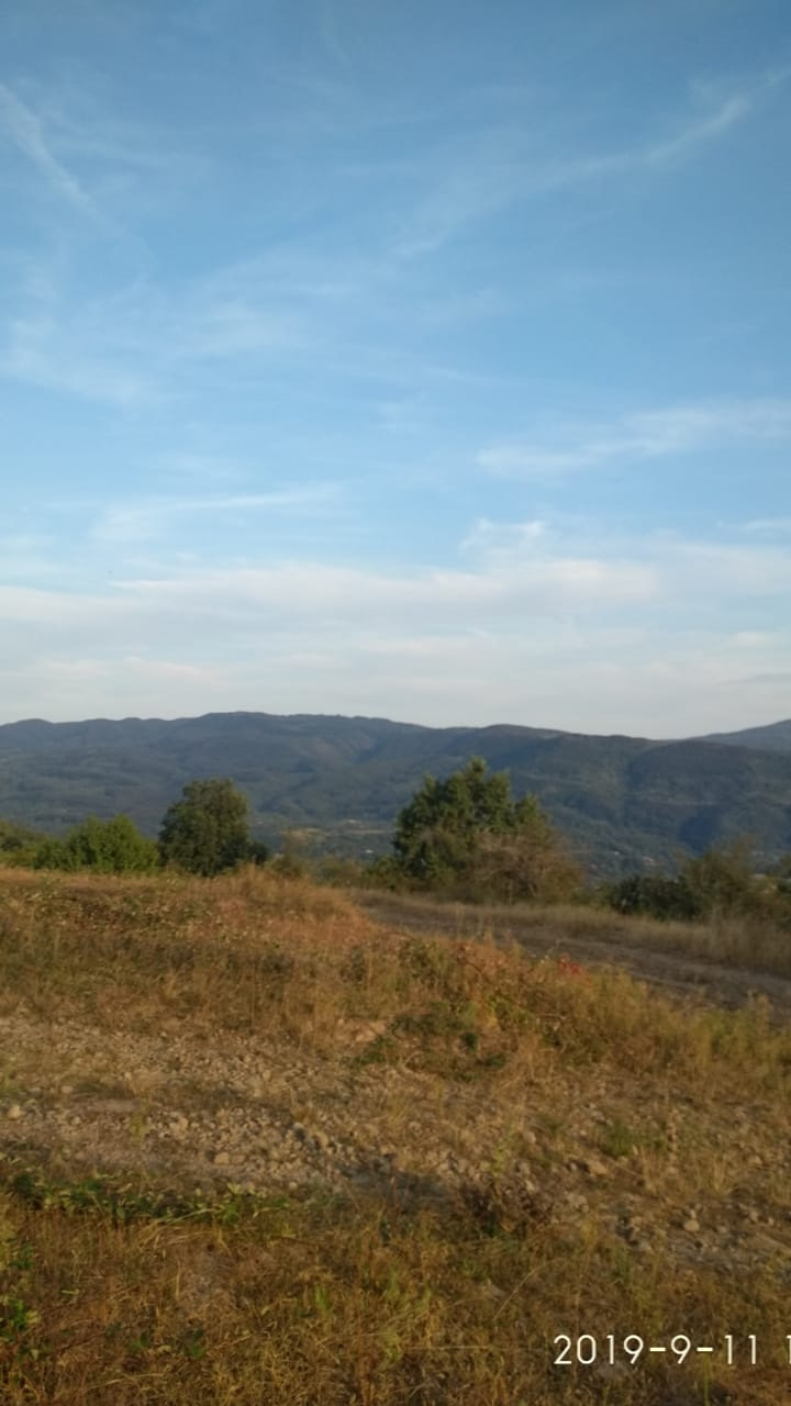 Доставка. Запис від 11.09.2019 4