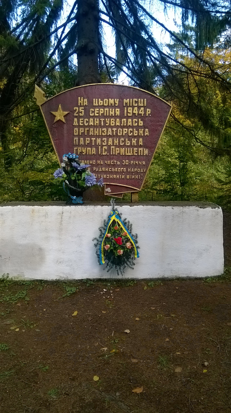 Поїздка по гриби 4