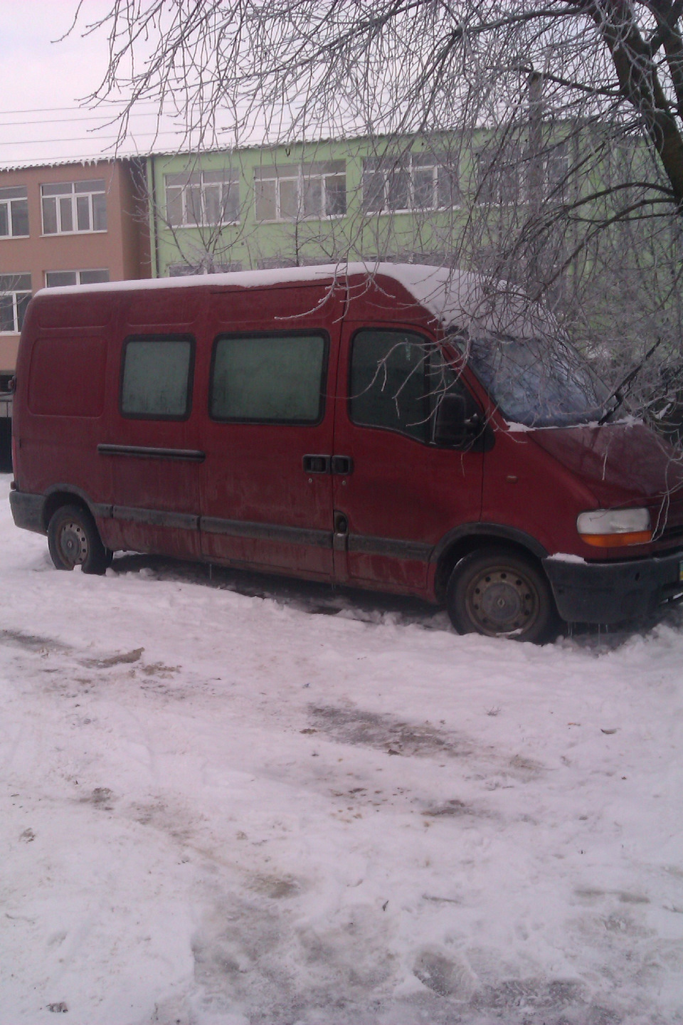 Перезимували! 2