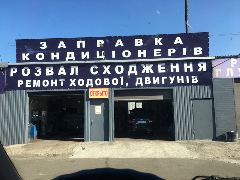 Найпроблемніша поїздка з життя Вишневого Єнота 2