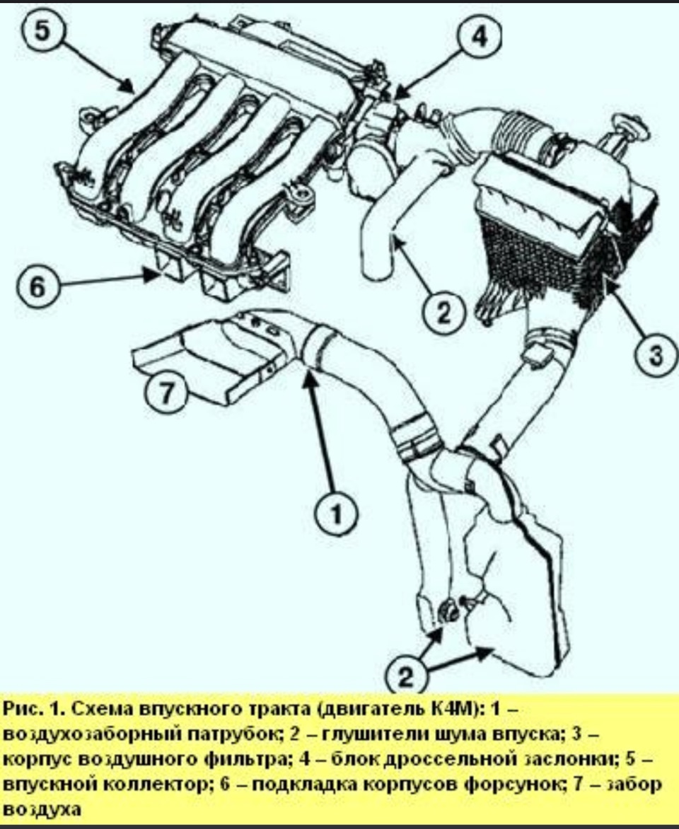 Заглух посередині калюжі 1