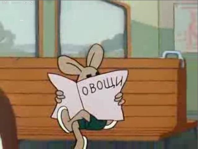 Ралі Чайка 2015 4