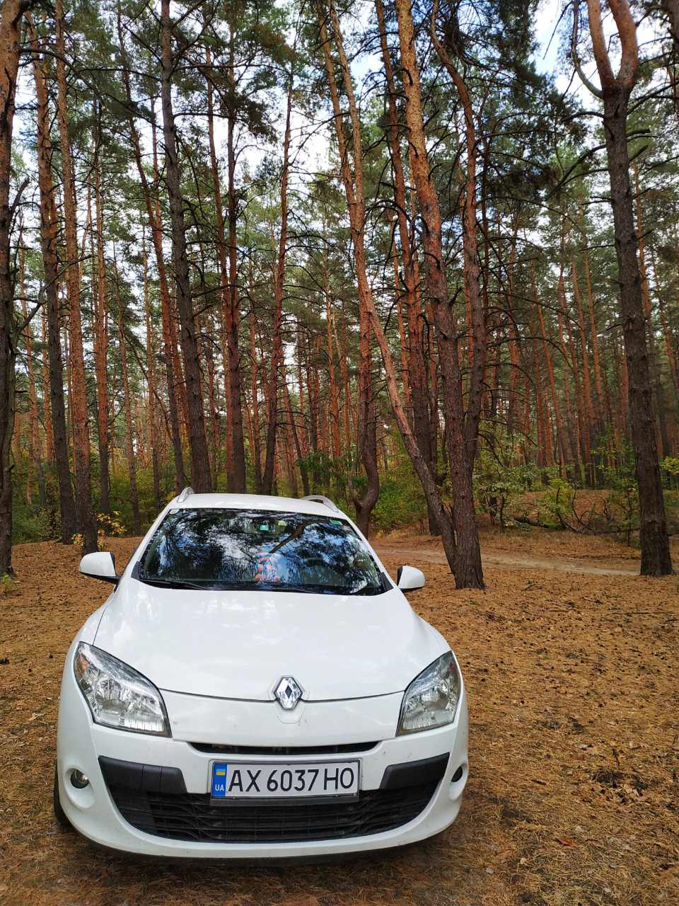 Трохи вечірнього осіннього лісу) 1