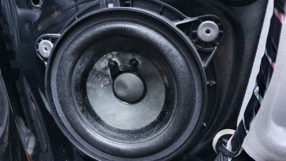 Динаміки задні Bose... померли 1