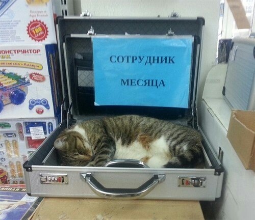 з'явилася ПРОБЛЕМКА! 1