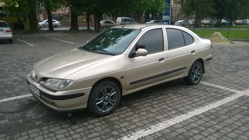 Пофарбувалися... 3
