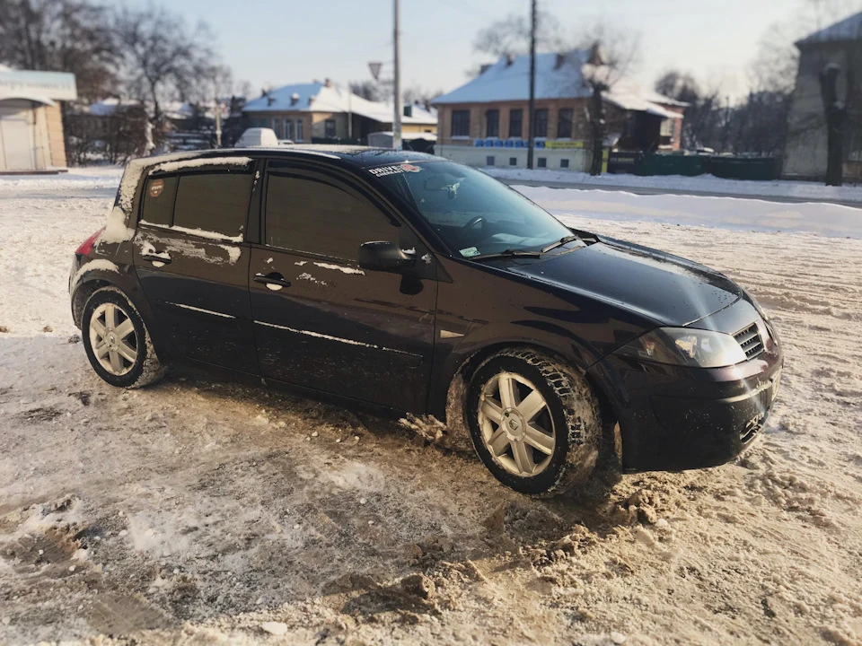 №50 Оживаємо від сплячки