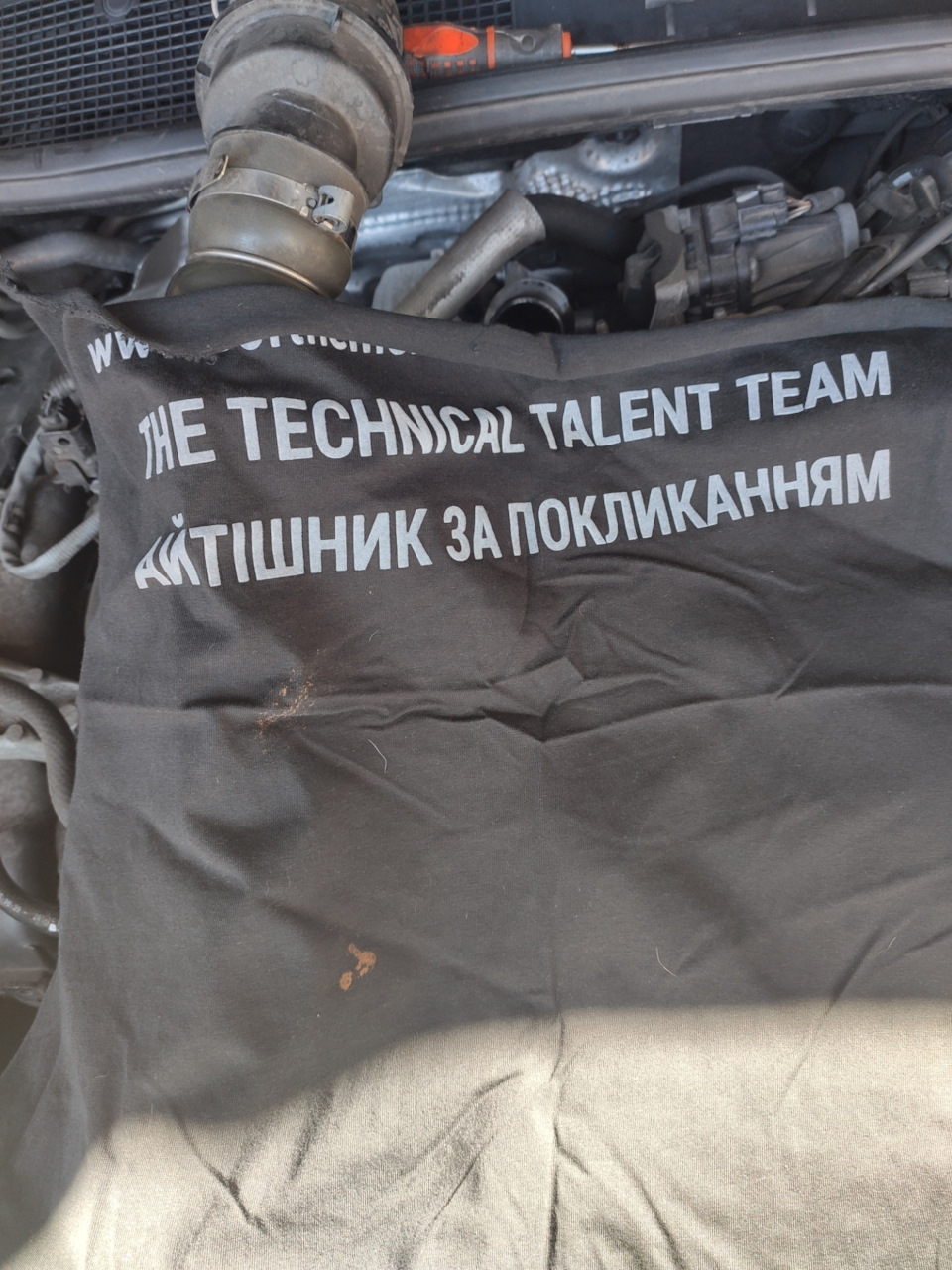 Трусим сажу EGR, Чистимо сітку ТНВД, ну і т.д. 5