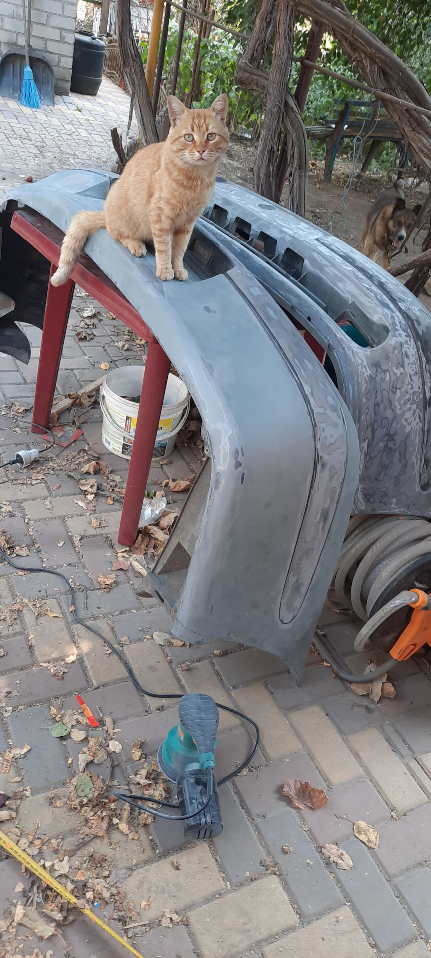 Освіження зовнішнього вигляду бамперів 4