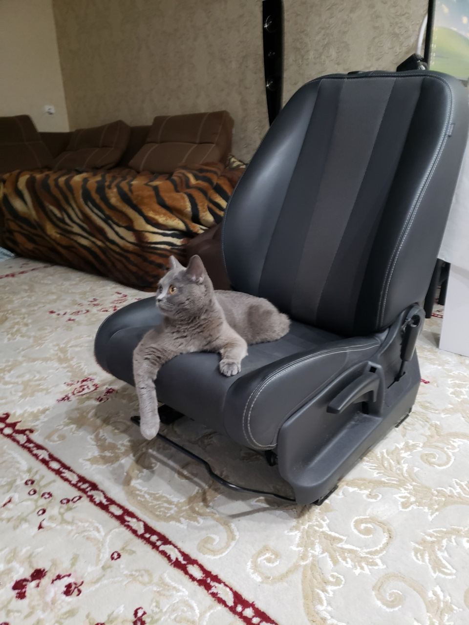Химчистка на дому 😊 . 2