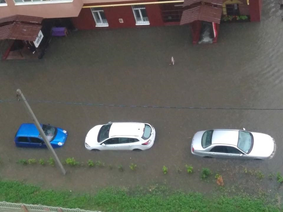 Припливли... 2