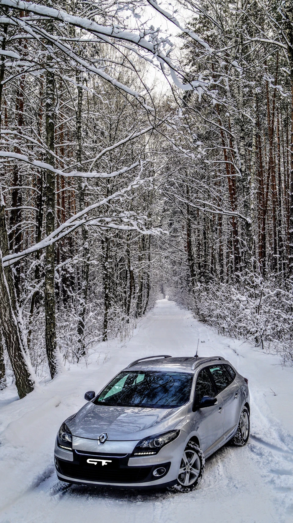 ❄️ Снігова палітра ❄️