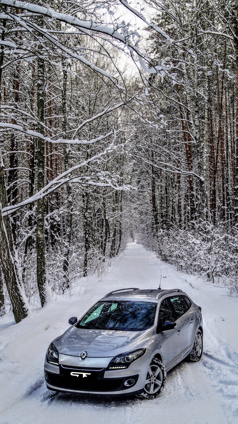 ❄️ Снігова палітра ❄️ 1