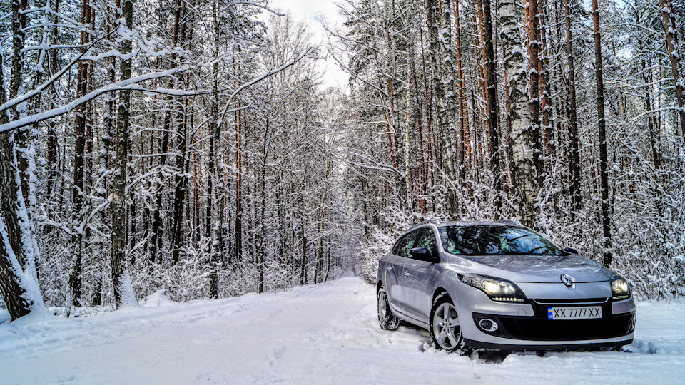 ❄️ Снігова палітра ❄️ 4