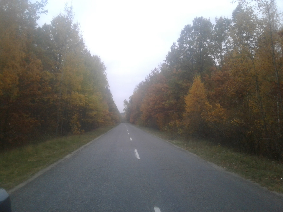 Закриття грибного сезону... 2